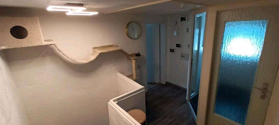 Einfamilienhaus Blankenheim - 3 Zimmer, 82 m&sup2;, 875&euro; | Angebot:24842317