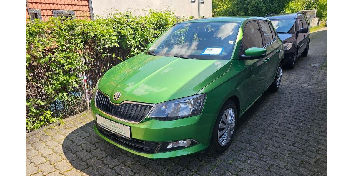 Skoda Fabia 162.500 km 6.945 &euro; Halberstadt 38820