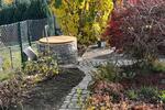 Grundstück Radebeul - 2.900&euro; | Angebot:26130588