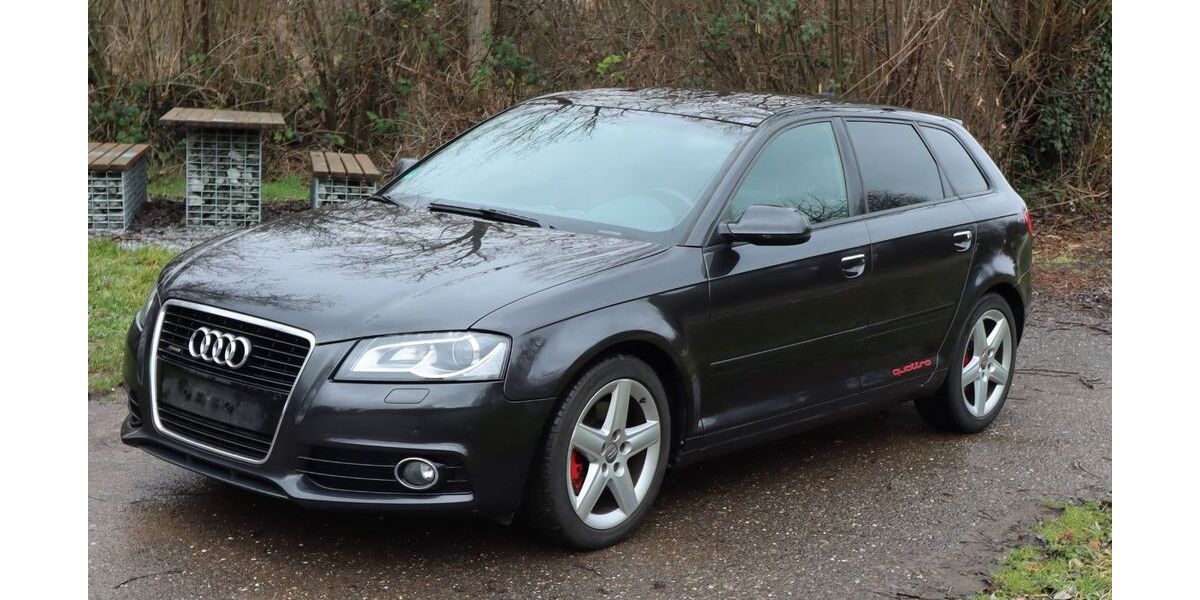 Audi A3 171.200 km 7.900 &euro; Maikammer 67487