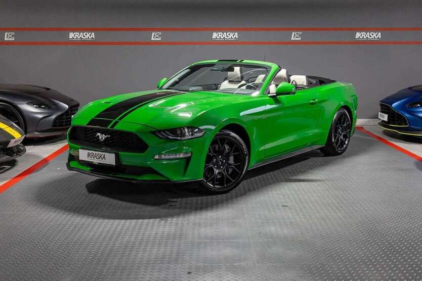 Mustang