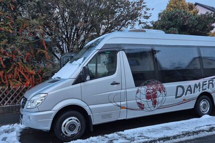 Mercedes-Benz Sprinter 290.220 km 45.990 &euro; Forchheim 91301