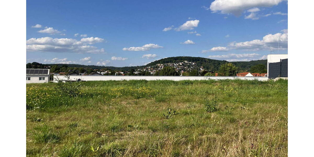 Grundstück Büdingen - 244.125&euro; | Angebot:26313136