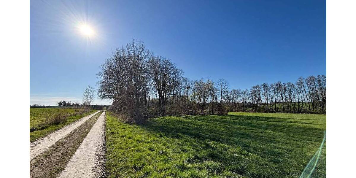 Versteigerungsimmobilie Großpösna Störmthal - 6.000&euro; | Angebot:26290934