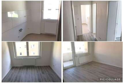 Wohnung Hagen Hagen-Mitte - 2.5 Zimmer, 44 m&sup2;, 59.000&euro; | Angebot:26446754