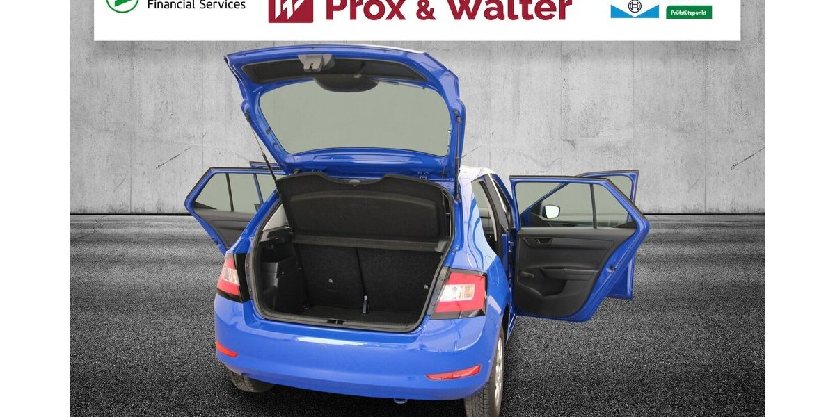 Skoda Fabia 1.0 MPI Cool Plus KLIMA+SITZHEIZUNG 130.693 km 7.900 &euro; Hagenow 19230