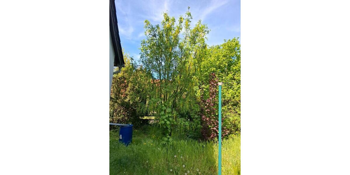 Einfamilienhaus Wusterwitz - 4 Zimmer, 180 m&sup2;, 200.000&euro; | Angebot:24639793