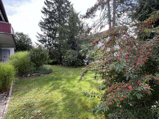 Mehrfamilienhaus, Wohnhaus Rielasingen-Worblingen Rielasingen - 1 Zimmer, 598.000&euro; | Angebot:26207392