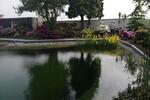 Bungalow Nettetal - 4 Zimmer, 130 m&sup2;, 570.000&euro; | Angebot:27030319
