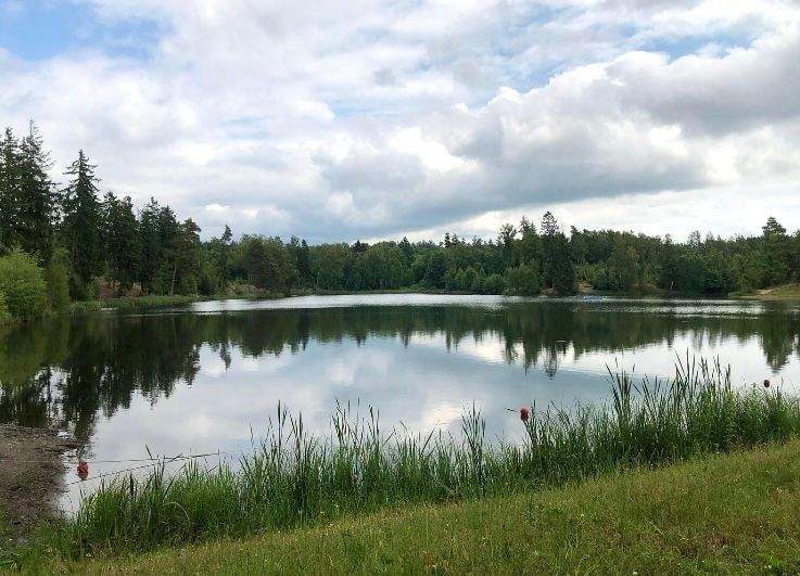 Mehrfamilienhaus, Wohnhaus Harzgerode Neudorf - 4 Zimmer, 80 m&sup2;, 50.000&euro; | Angebot:25744211