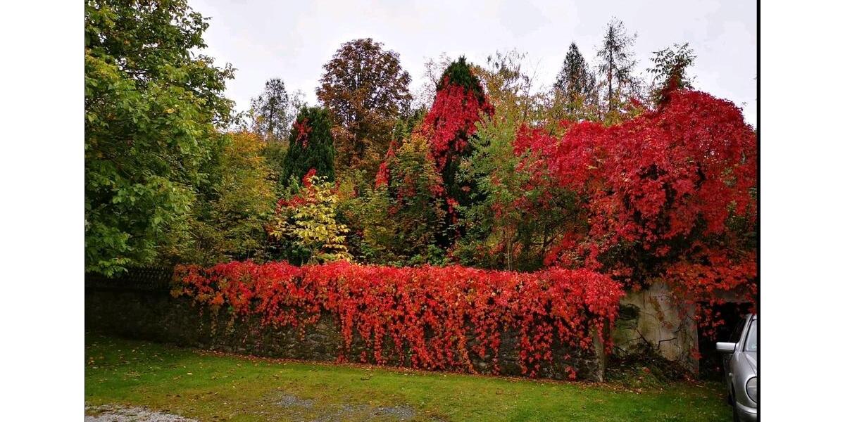 Einfamilienhaus Winklarn - 5 Zimmer, 120 m&sup2;, 140.000&euro; | Angebot:26924267