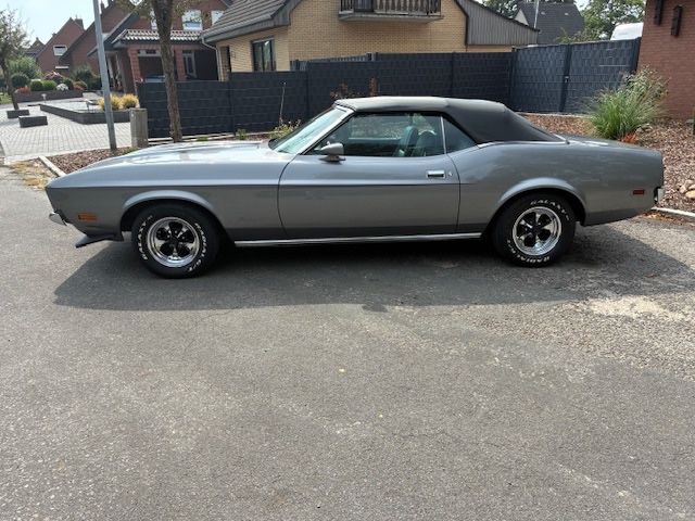 Mustang