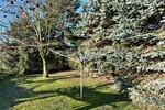 HORN IMMOBILIEN ++ charmantes Einfamilienhaus mit schönem Grundstück in Göritz bei Prenzlau - Einfamilienhaus Göritz | Angebot:27119866