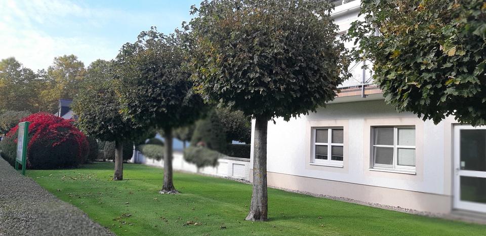 Erdgeschoßwohnung Michendorf - 2 Zimmer, 60 m&sup2;, 900&euro; | Angebot:25397934