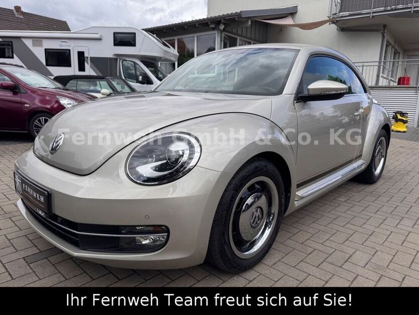 Beetle