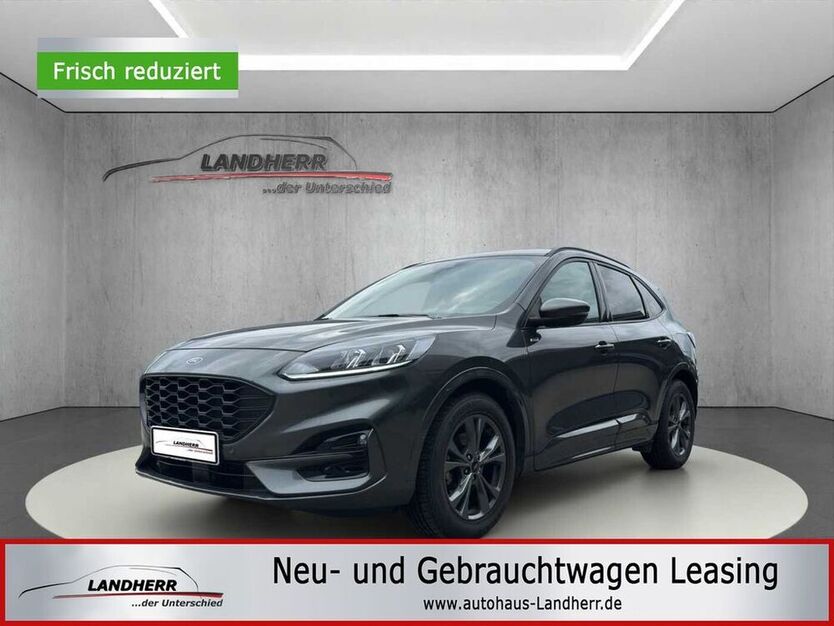 Kuga