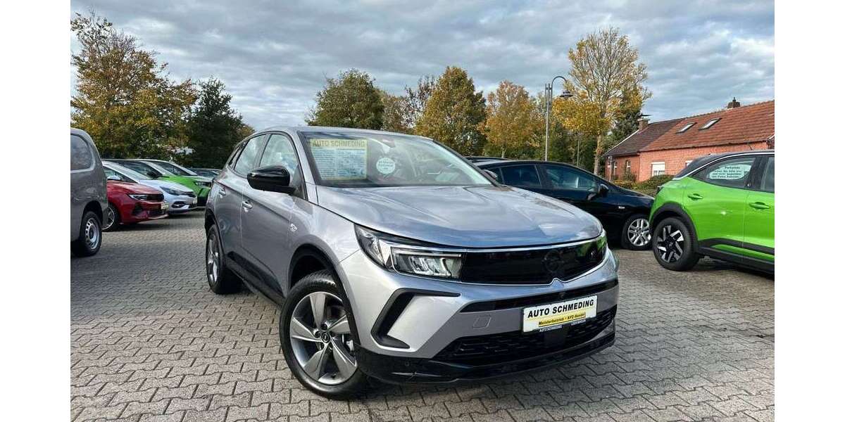 Opel Grandland X 12.500 km 24.950 &euro; Leer 26789