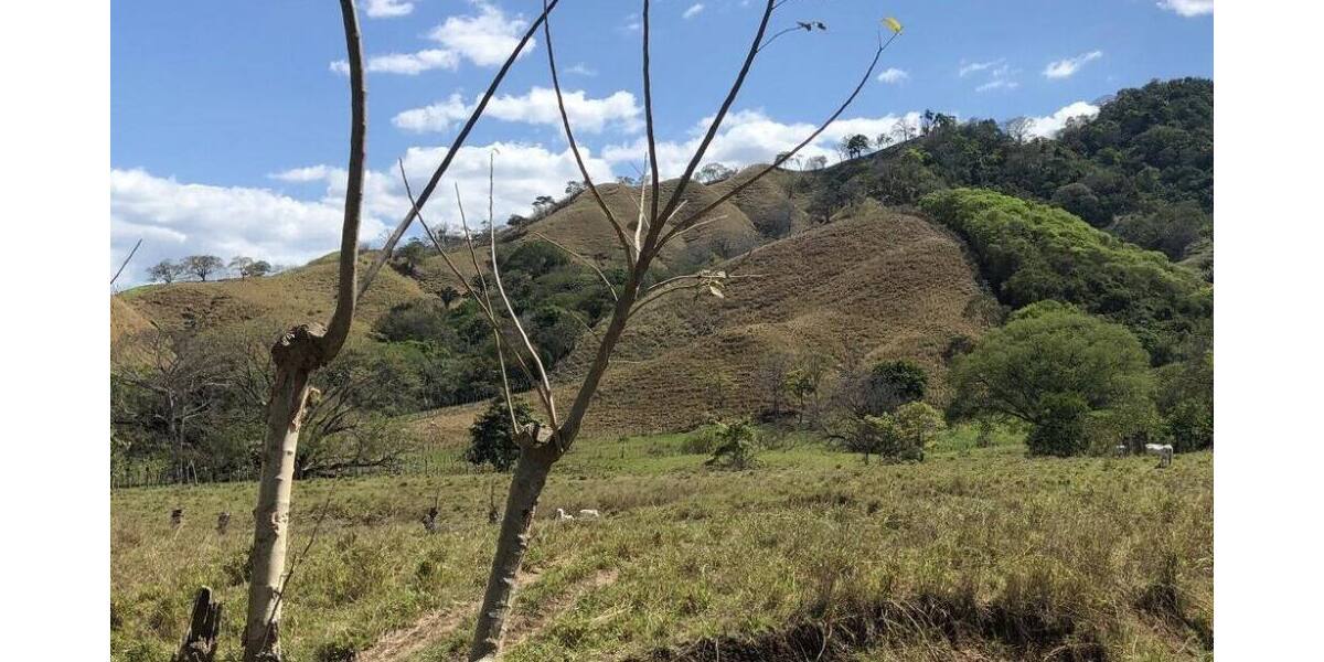 Grundstück in Costa Rica in einer der blauen Zonen der Erde zimmer