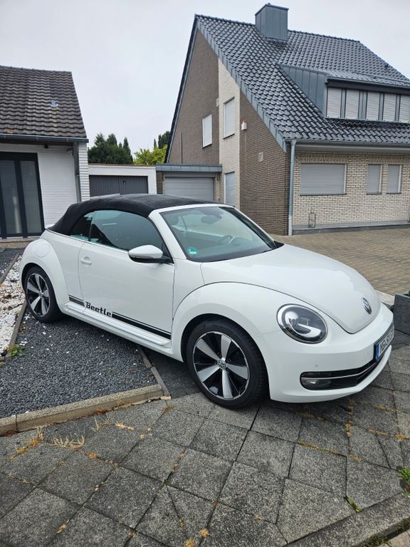 Beetle