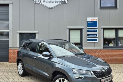 Skoda Karoq 113.900 km 17.750 &euro; Walsrode 29699