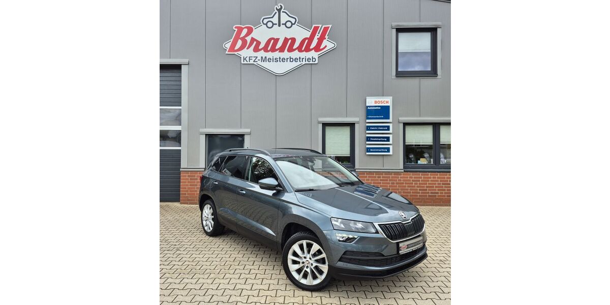 Skoda Karoq 113.900 km 17.750 &euro; Walsrode 29699
