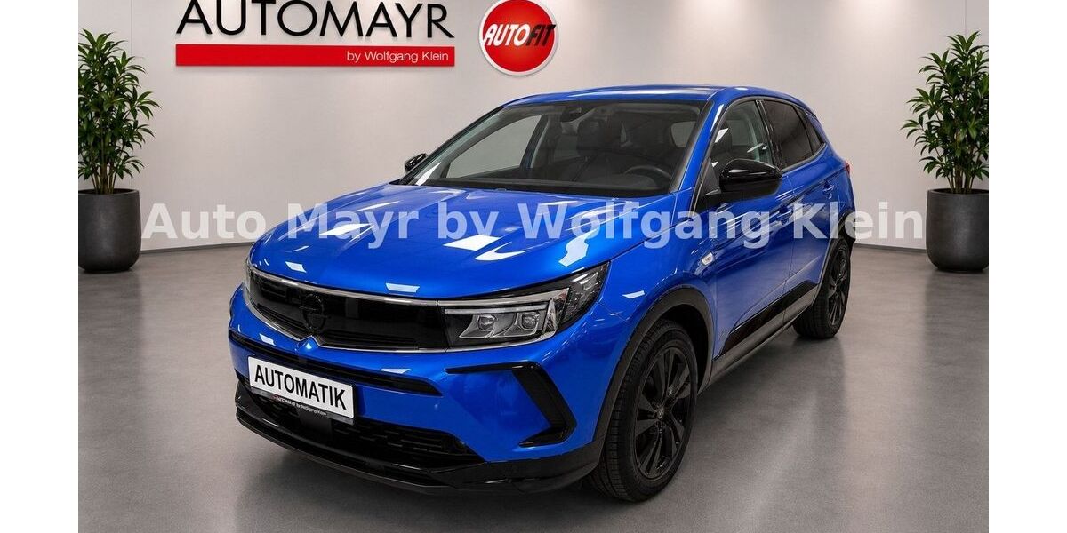 Opel Grandland (X) 103.920 km 18.580 &euro; Augsburg 86156