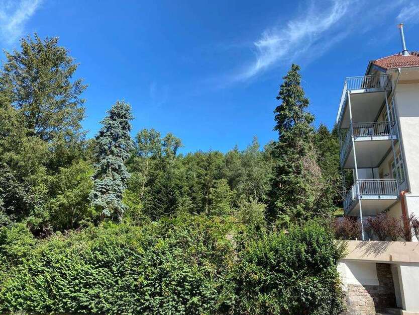 Wohnung zum Mieten in Baden-Baden 1.200 € 125.72 m²