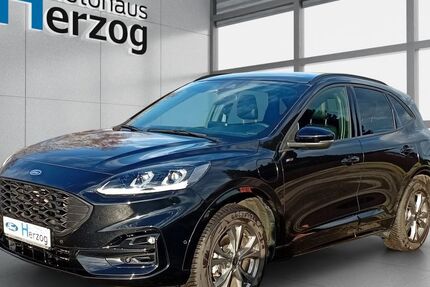 Ford Kuga 17.000 km 28.990 &euro; Schramberg 78713