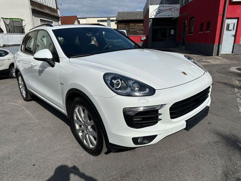 Cayenne