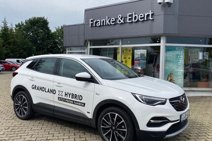 Opel Grandland (X) 31.500 km 26.590 € Reinsdorf 08141