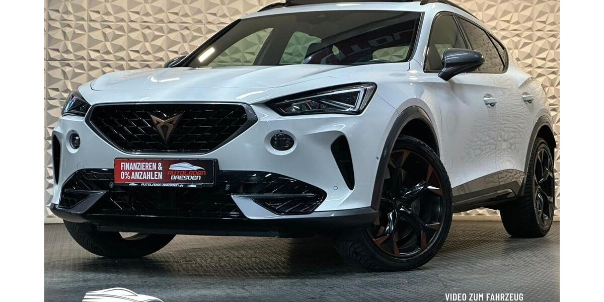 Cupra Formentor 66.043 km 27.999 &euro; Heidenau 01809