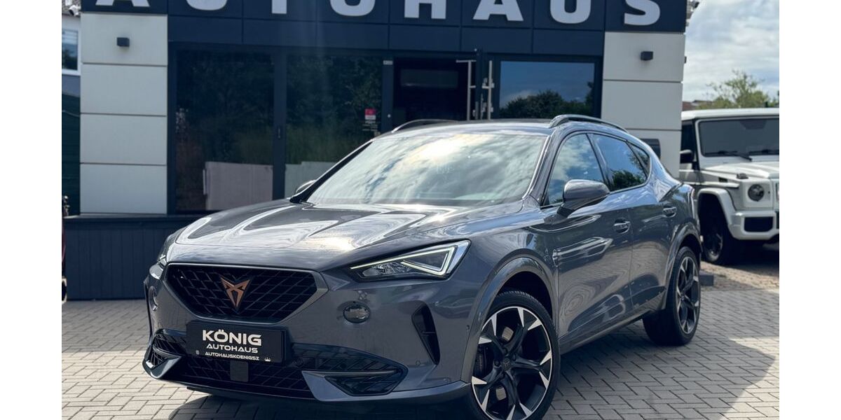 Cupra Formentor 63.180 km 27.999 &euro; Salzgitter 38259