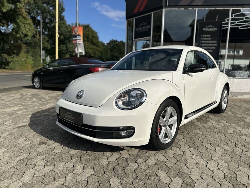 Beetle