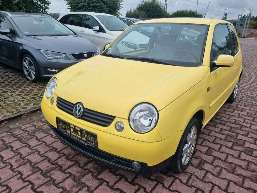 Lupo