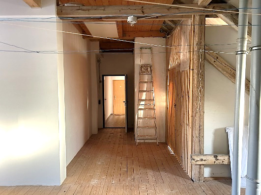 Gewerbeobjekt Riesa Innenstadt - 690.000&euro; | Angebot:25688441