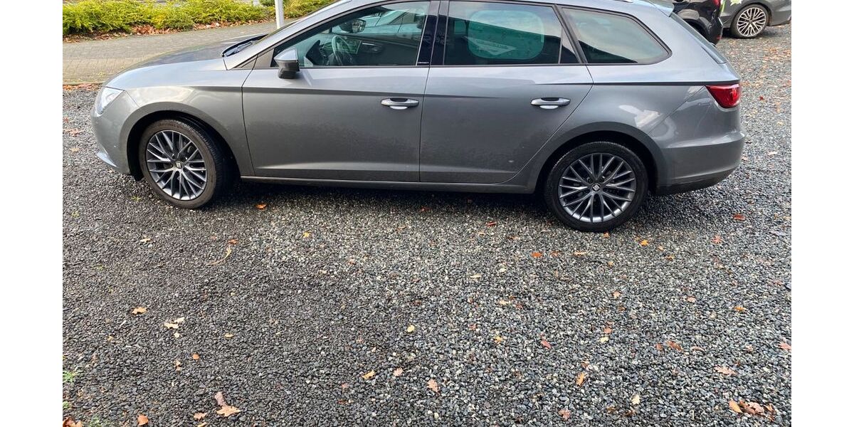 Seat Leon 178.000 km 9.500 &euro; Börger 26904