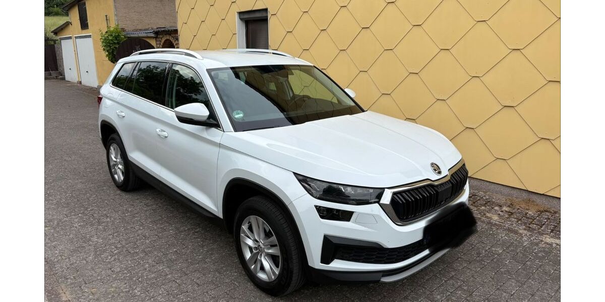Skoda Kodiaq 216.000 km 19.500 &euro; Baumgarten 18246