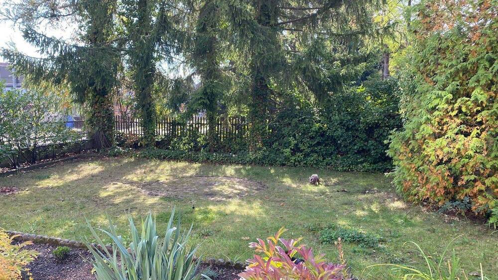 Einfamilienhaus Rothenburg - 6 Zimmer, 207 m&sup2;, 125.000&euro; | Angebot:25679716