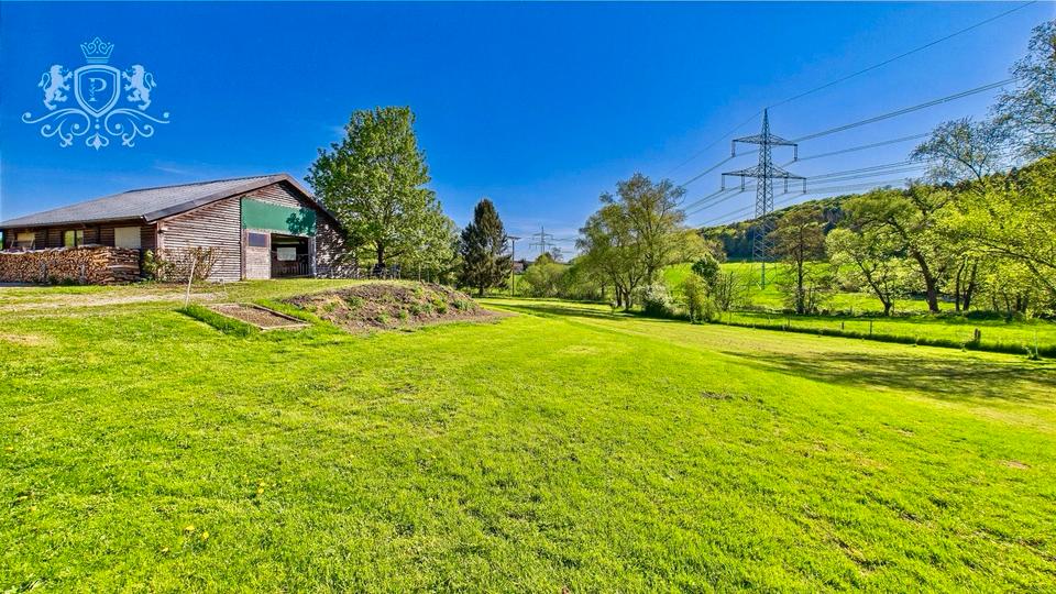 Bauernhaus, Landhaus Schönecken - 10 Zimmer, 220 m&sup2;, 498.000&euro; | Angebot:26855836
