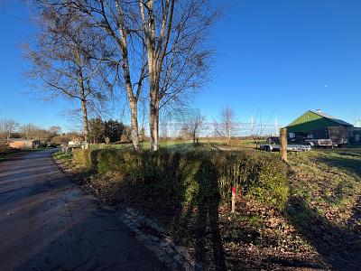 BAUEN IN RUHIGER UND NATÜRLICHER LAGE - Grundstück Steenfeld | Angebot:25412704