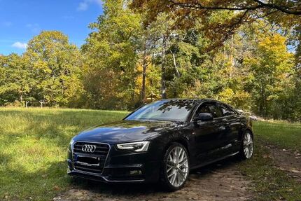 Audi A5 178.500 km 13.100 &euro; Unterleinleiter 91364