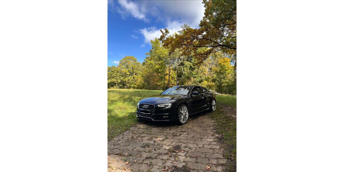 Audi A5 178.500 km 13.200 &euro; Unterleinleiter 91364