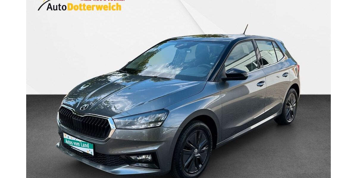 Skoda Fabia 30.700 km 16.800 &euro; Schönbrunn 96185