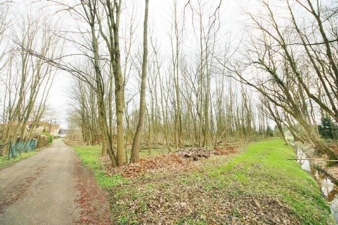 Grundstück Zahna-Elster Zahna - 85.000&euro; | Angebot:25748453