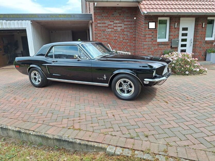 Mustang