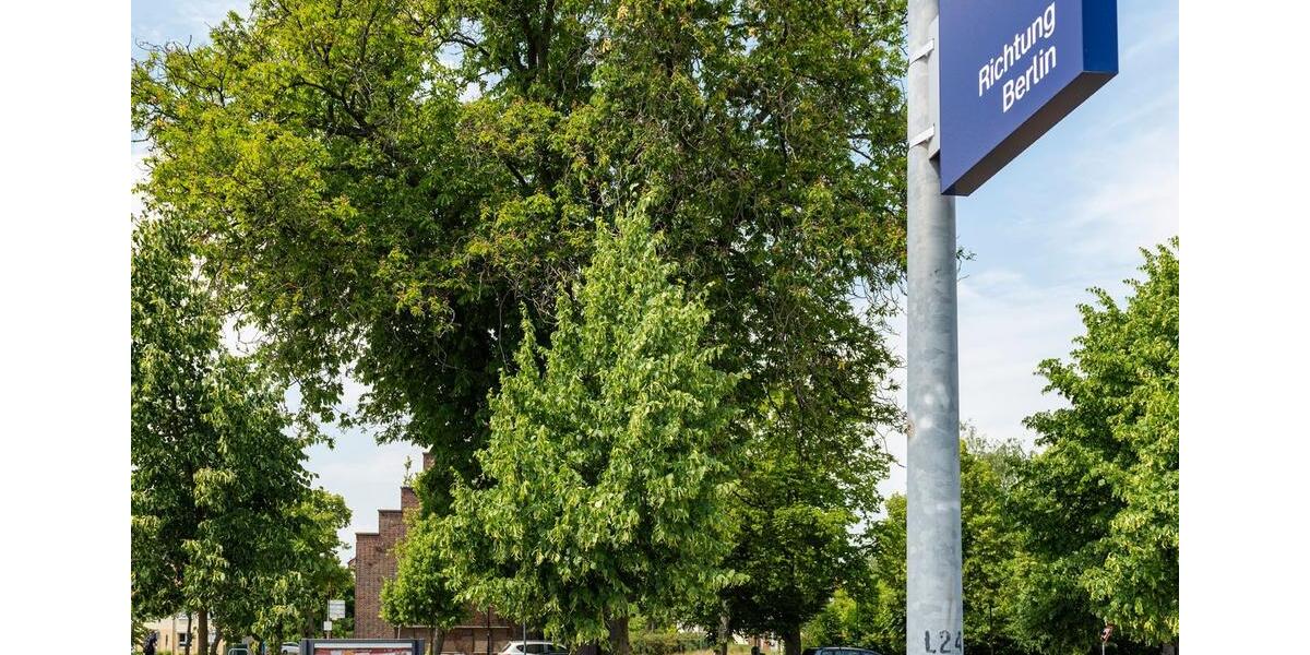 Etagenwohnung Löwenberger Land - 2 Zimmer, 60 m&sup2;, 662&euro; | Angebot:24539522