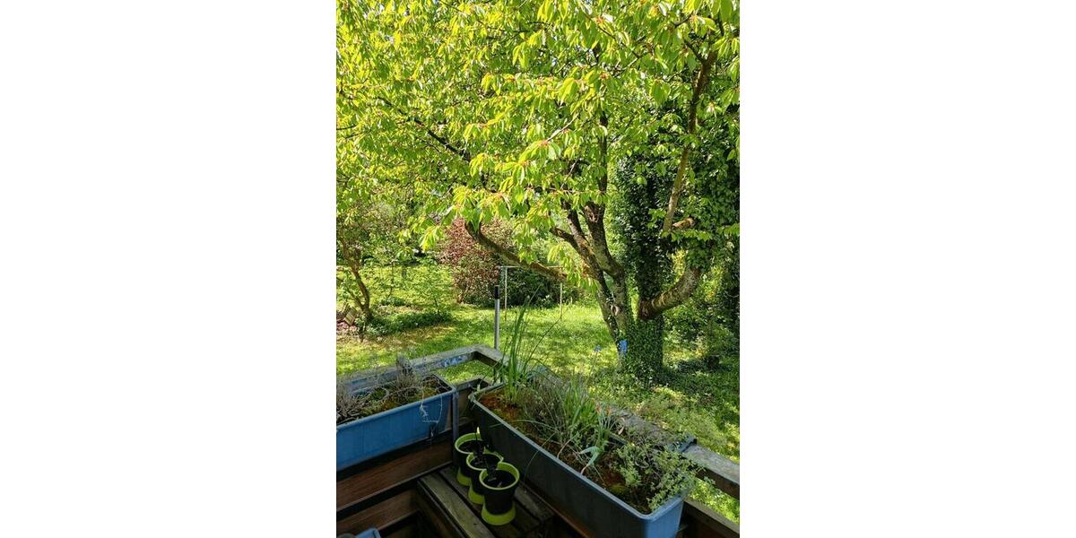 Etagenwohnung Konstanz Allmannsdorf - 3 Zimmer, 75 m&sup2;, 1.150&euro; | Angebot:26341237