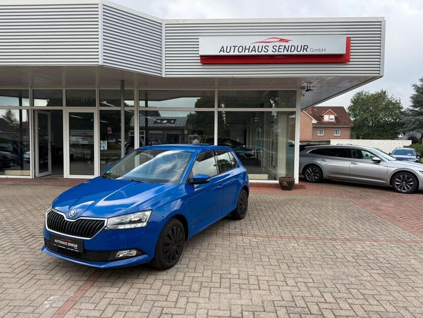Skoda Fabia 25.000 km 11.890 € Menslage 49637