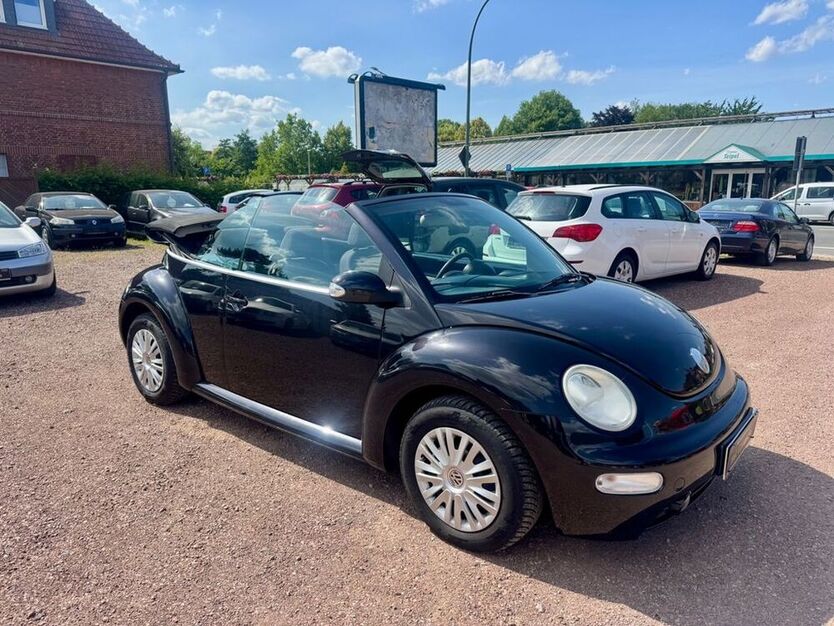 Beetle