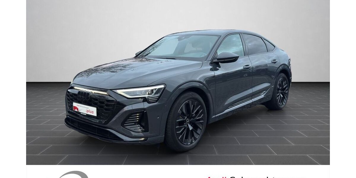 Audi Q8 e-tron 75.541 km 45.990 &euro; Ludwigshafen 67063